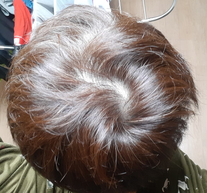 20230416_054953.jpg