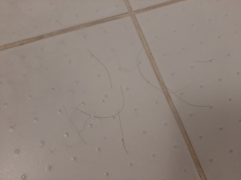 20230711_210216.jpg