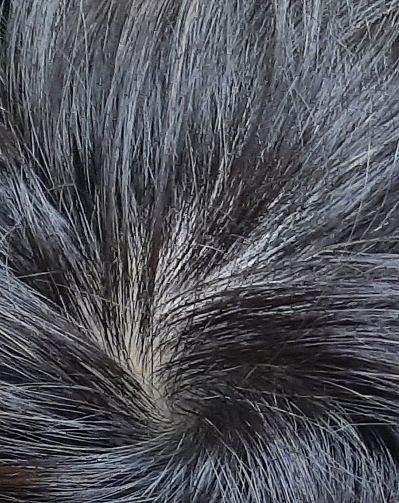 20230903_190249.jpg