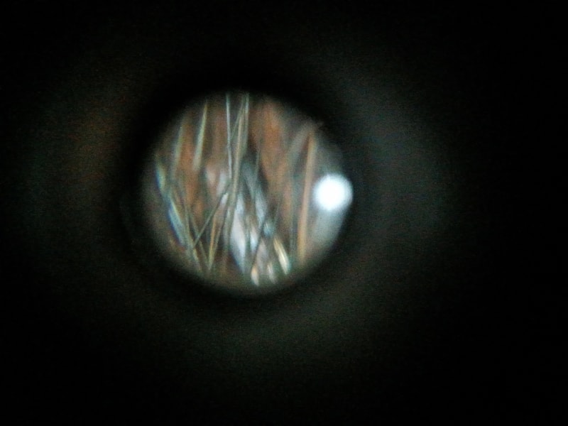 20241126_120456.jpg