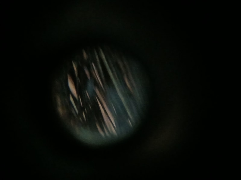 20241224_151613.jpg