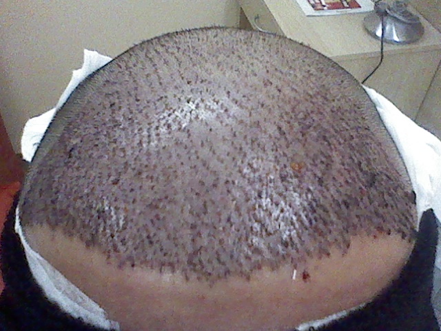 IMG140.jpg