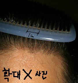 2qj.JPG
