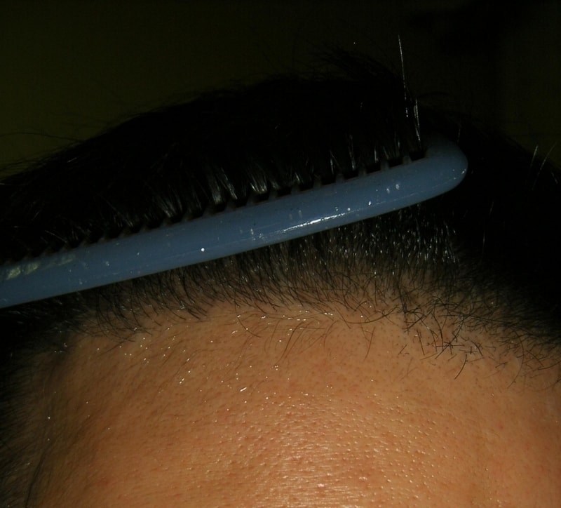 SA500248.JPG