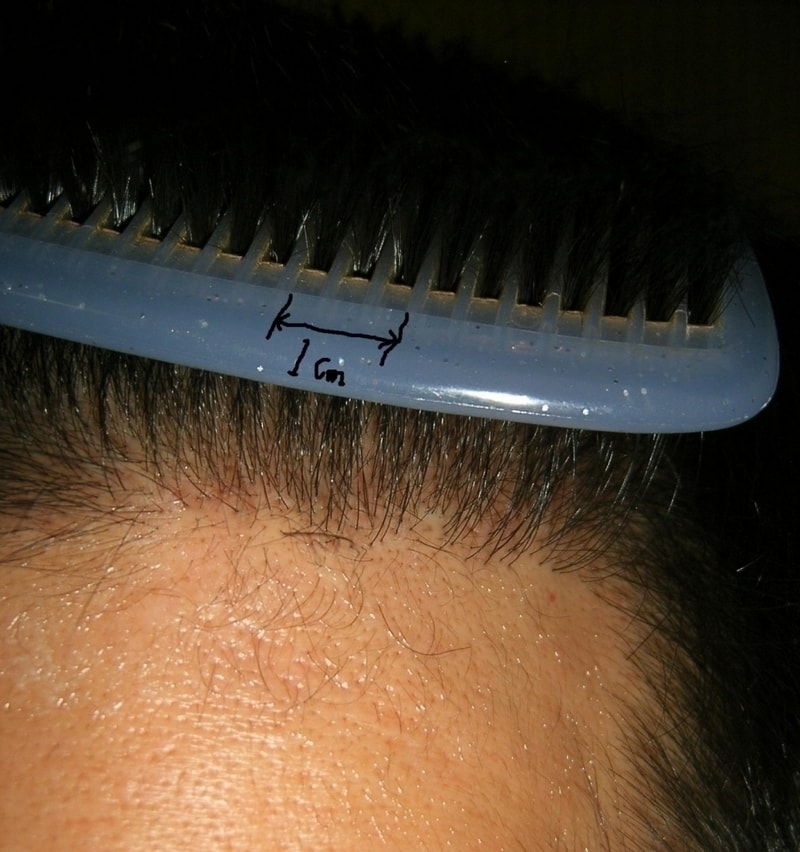 SA500245.JPG