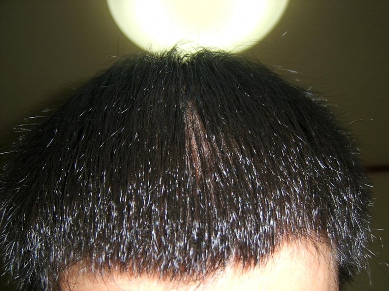 SA500243.JPG