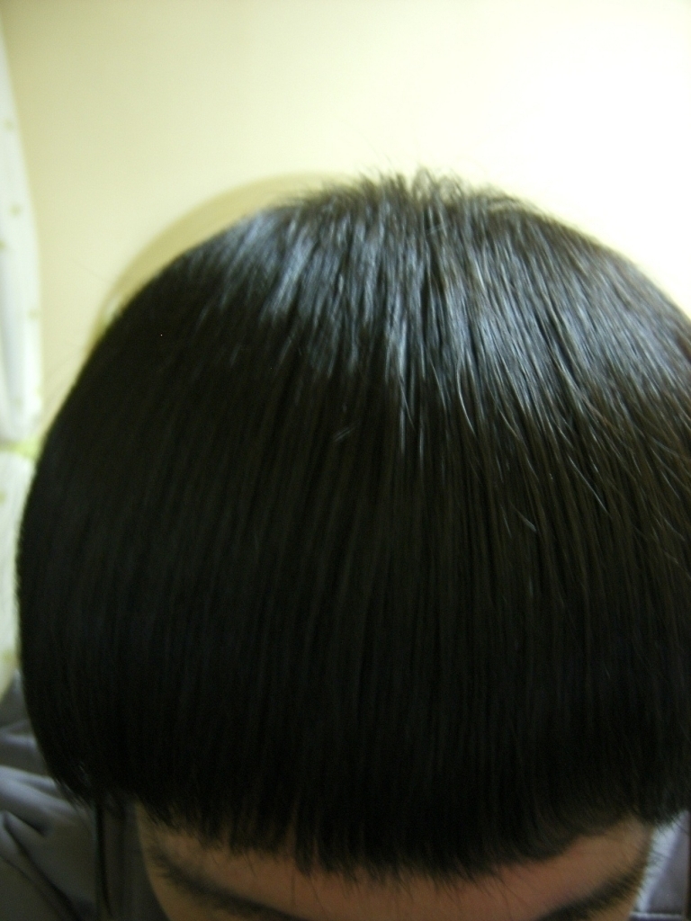 SA500239.JPG
