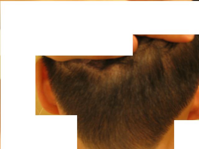 back 1.JPG