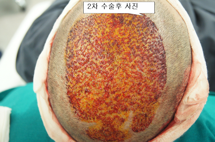 작업한거2DSC01887.JPG