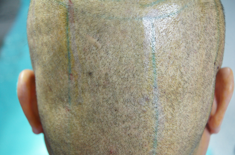 작업한거2DSC05150.JPG