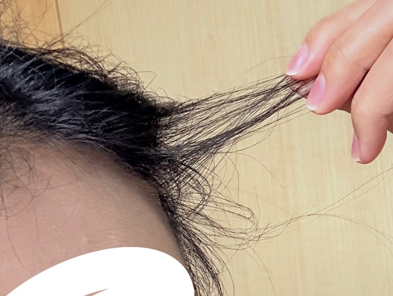 KakaoTalk_20260122_100042882.jpg