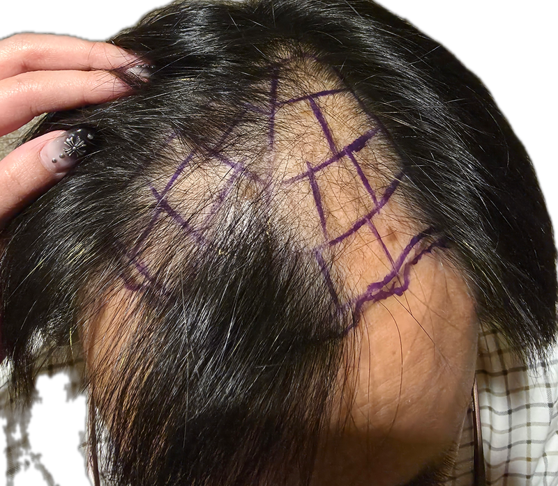 hair.png