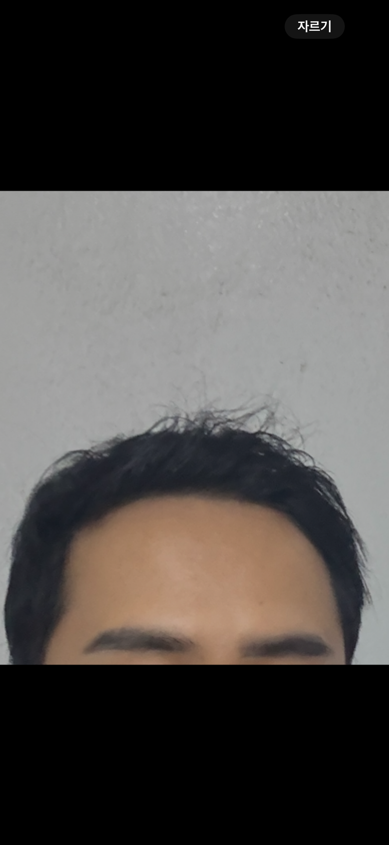 IMG_1131.png