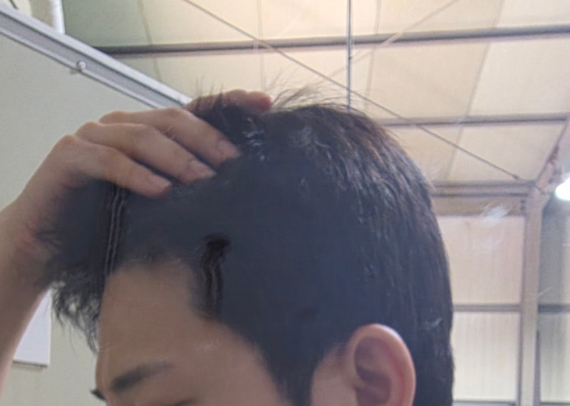 88183.jpg