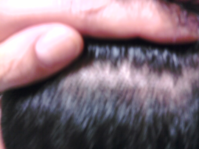 P100813003.jpg