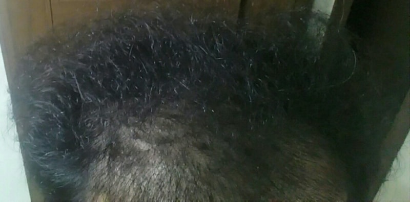 KakaoTalk_20180718_202420040.jpg