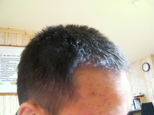 SANY0125.JPG
