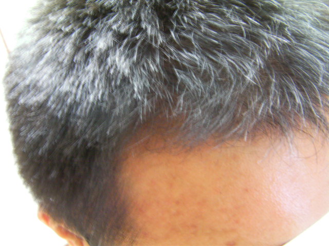 SANY0136.JPG