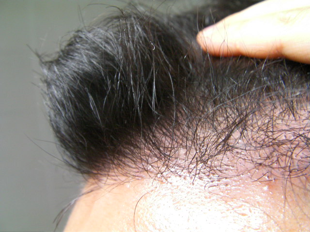SANY0211.JPG