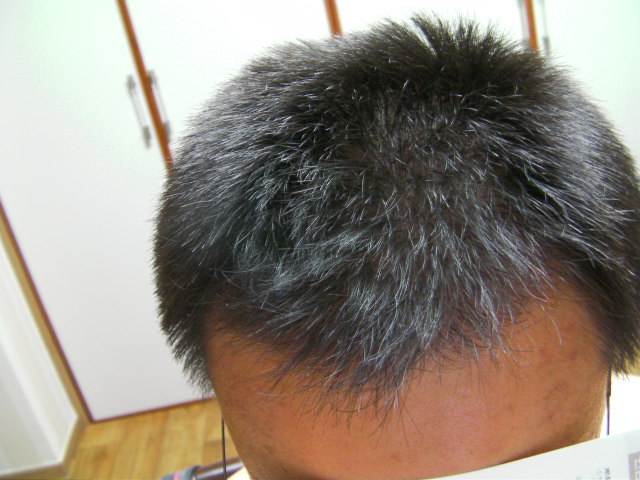 SANY0135.JPG