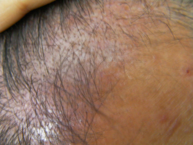 SANY0117.JPG