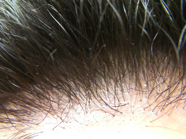 SANY0205.JPG