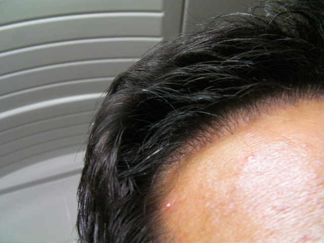SANY0206.JPG