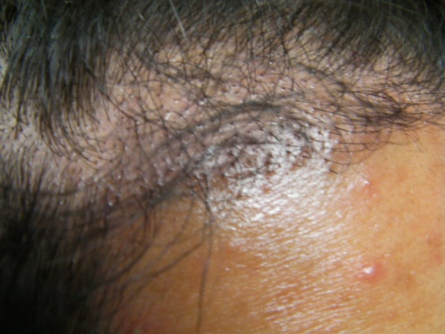 SANY0210.JPG