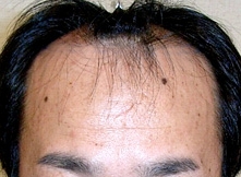 대다모2.jpg