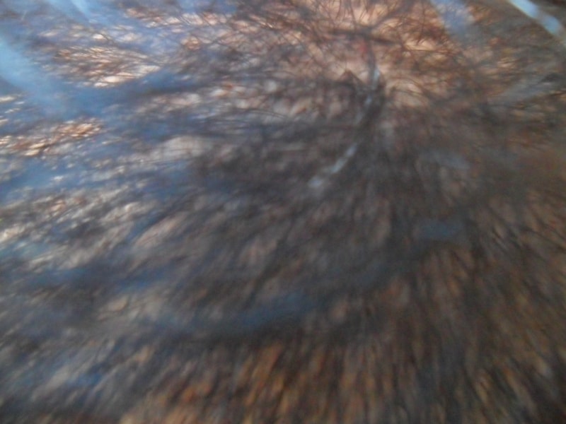 SAM_0644.JPG