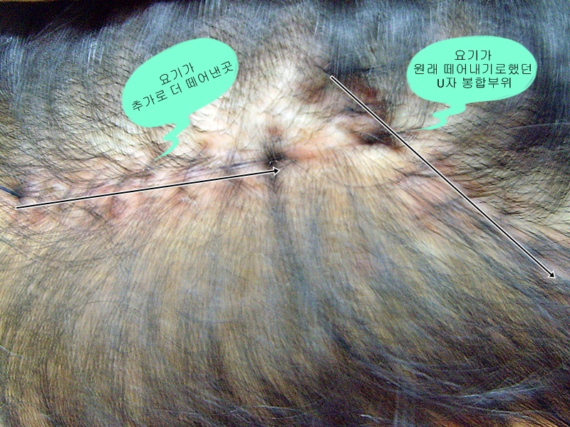 SNV33180.JPG