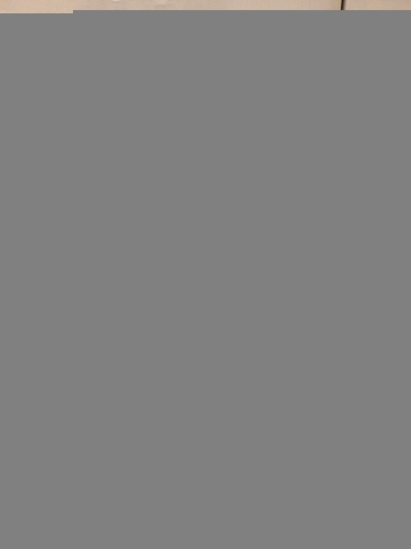 D62ADEAE-86B8-4887-9932-839EA4C442C0.jpeg