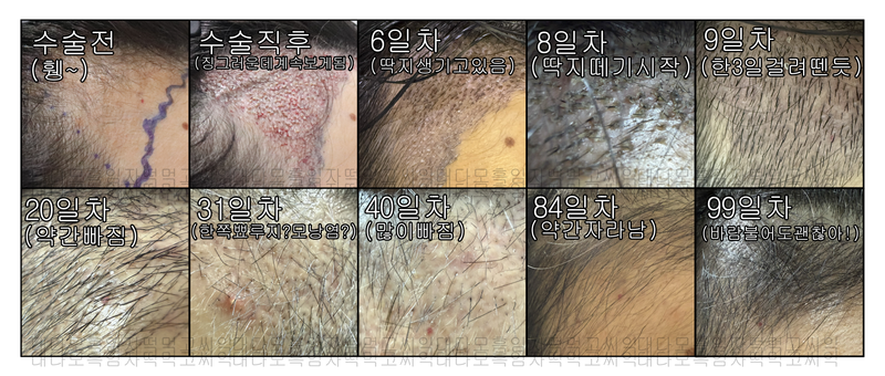 포토후기 이미지