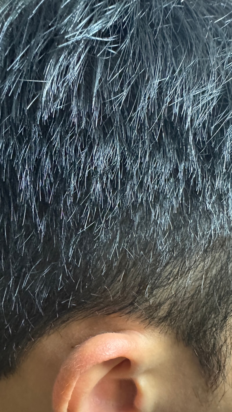 IMG_4183.jpeg