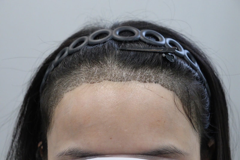 955.jpg