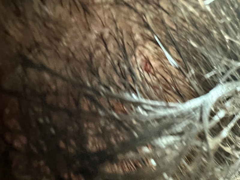 20260920-2.jpg