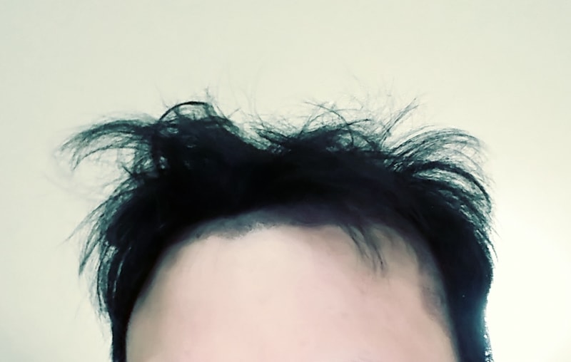 전체적.png