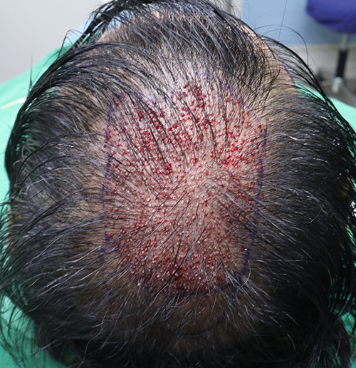 IMG_2118.JPG