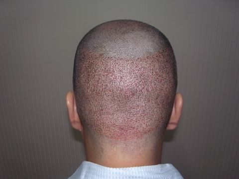 008-2일02.jpg