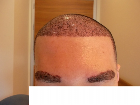 SAM_2179.jpg