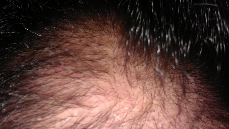 IMAG0555.jpg