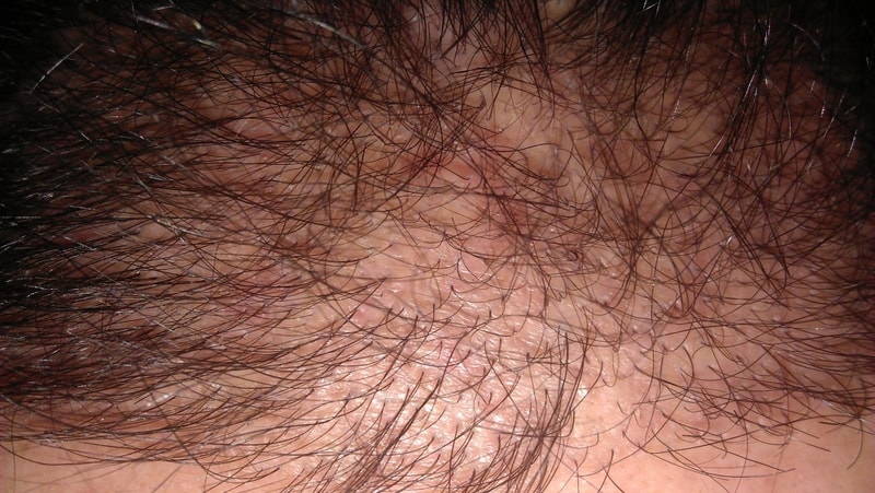 IMAG0556.jpg