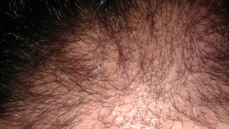 IMAG0557.jpg