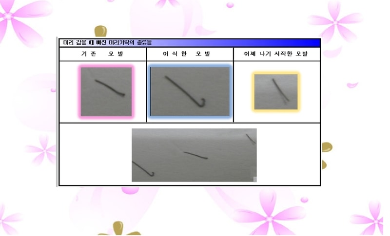 이식모.JPG