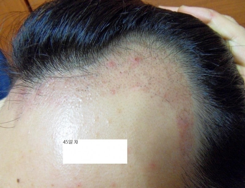 45일차2.jpg