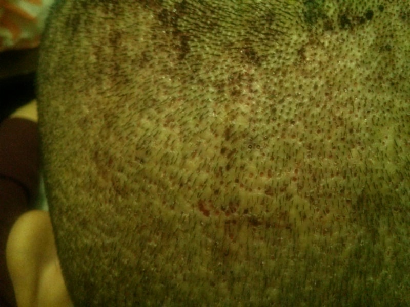 CAM007481.jpg