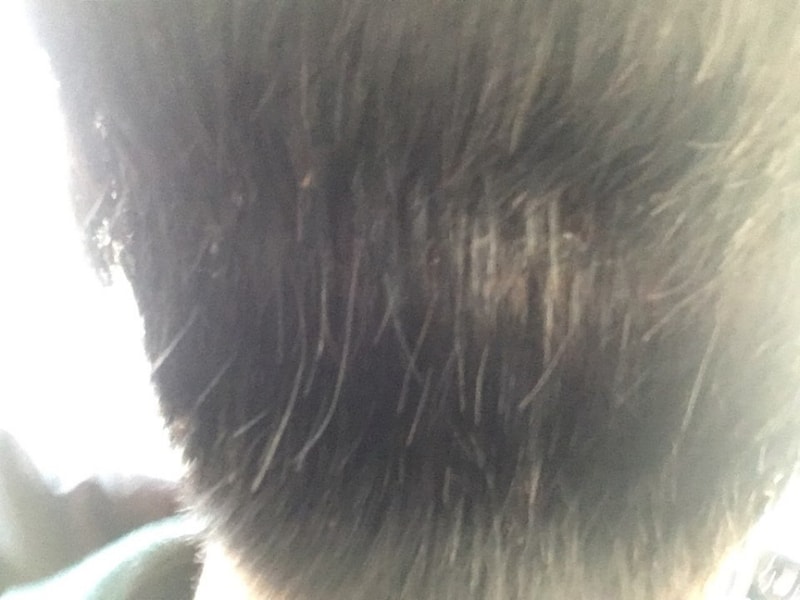 KakaoTalk_20180314_171137747.jpg