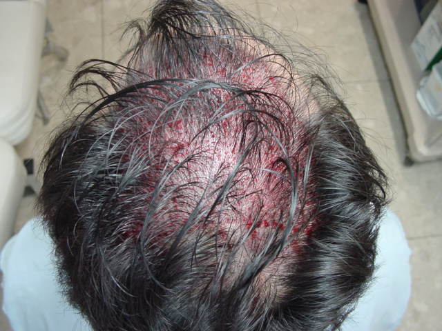 2008.1.2 이승배37.JPG