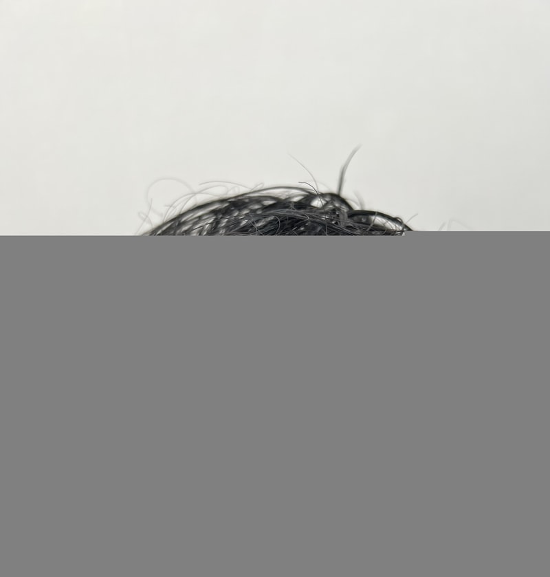 IMG_1399.jpeg