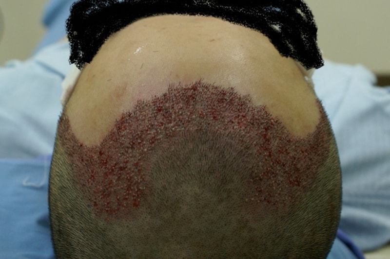 opDSC05701.JPG